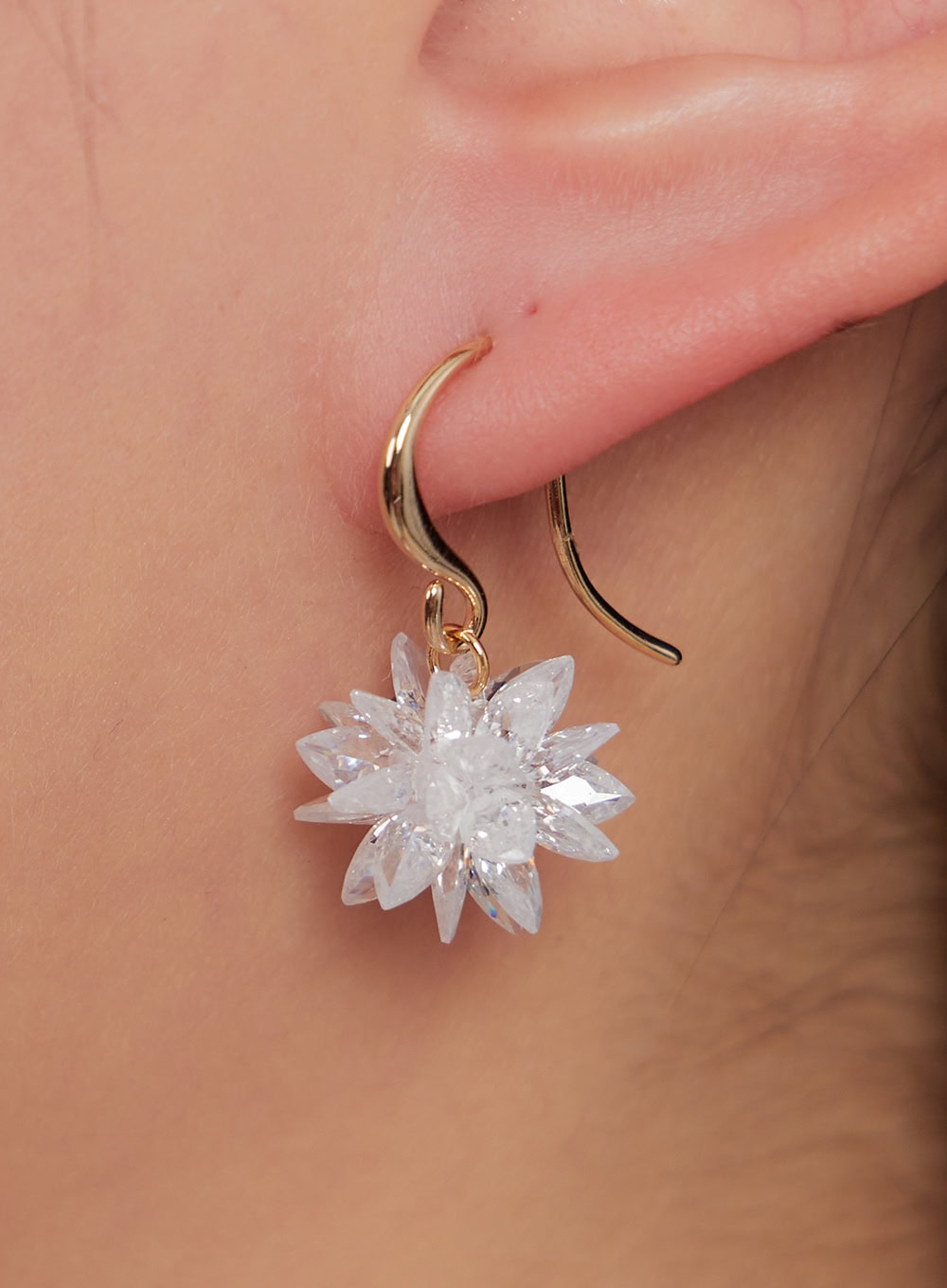 Vastin Earrings IA524