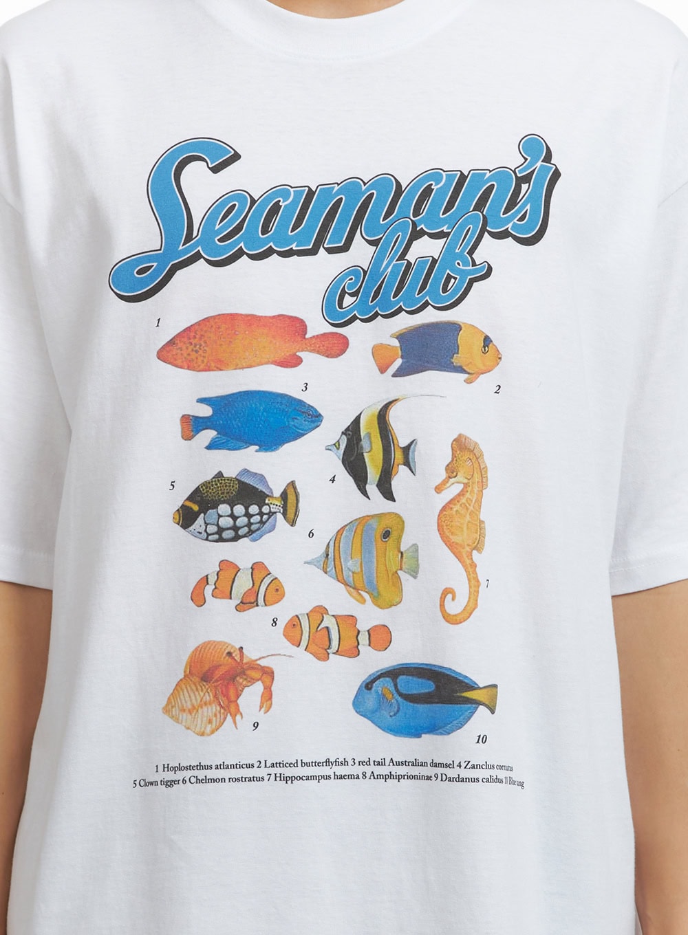 Men's Graphic Cotton  T-Shirt CL429