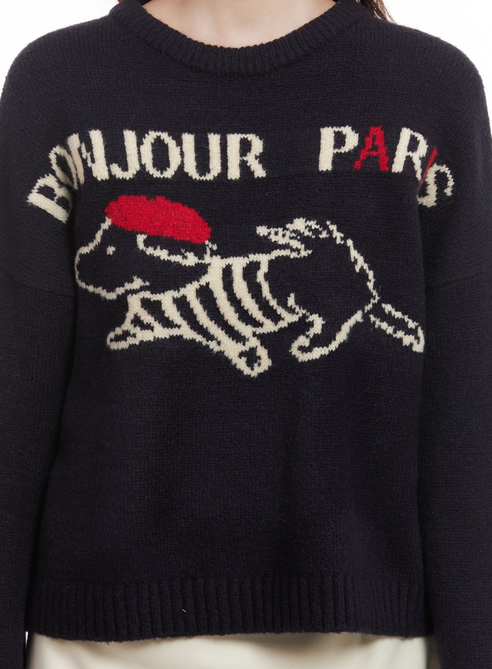 Paris Puppy Graphic Sweater CJ515