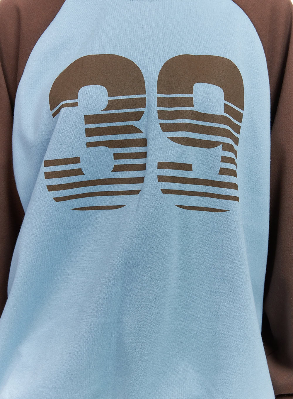 Graphic Raglan Cotton Sweatshirt CS404