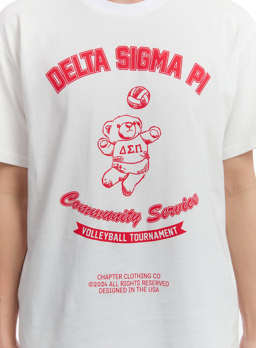 Men's Teddy Graphic Print T-Shirt IA504