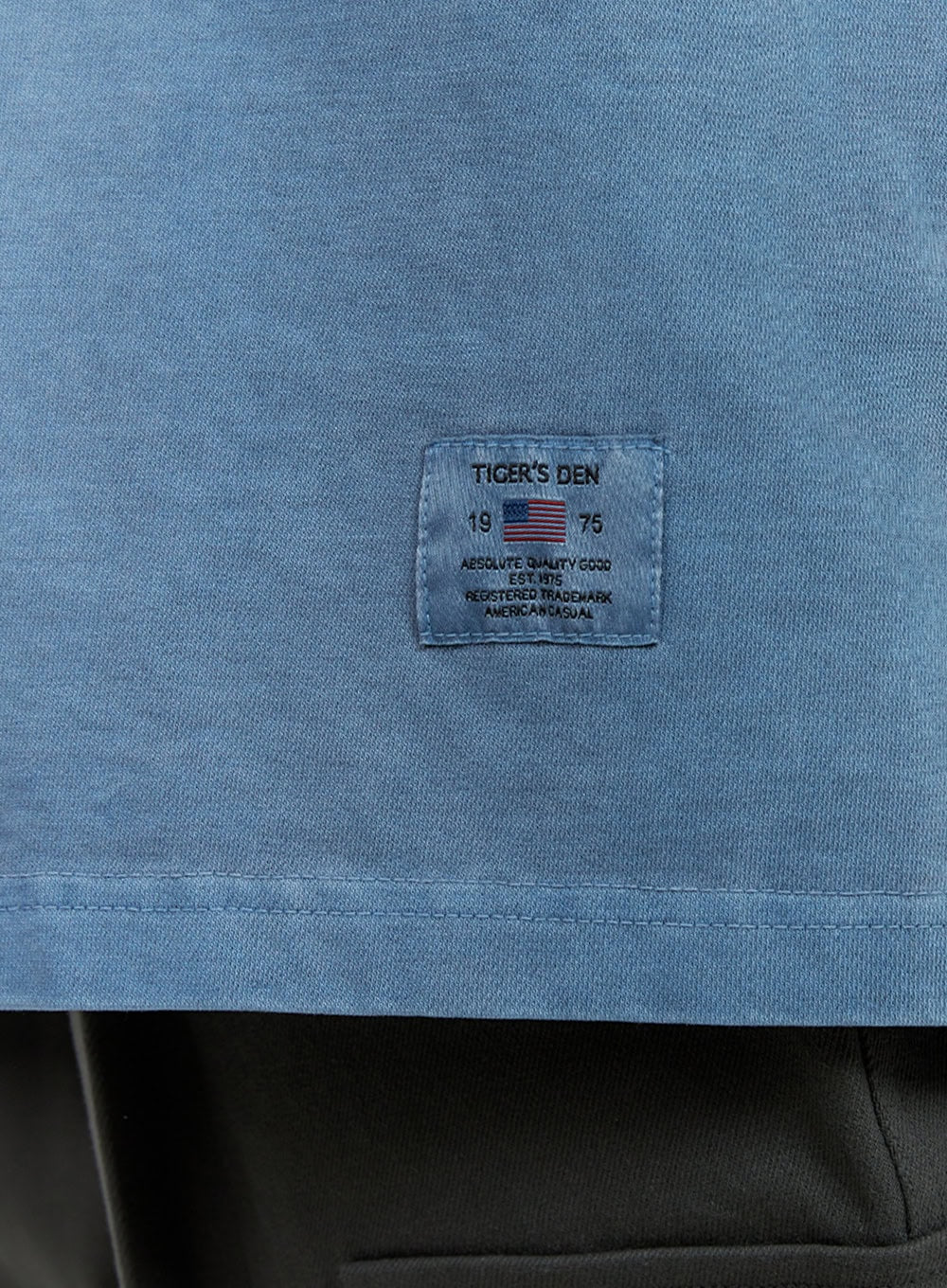 Men's Cotton Lettering Oversized Graphic Tee (Blue) IU414