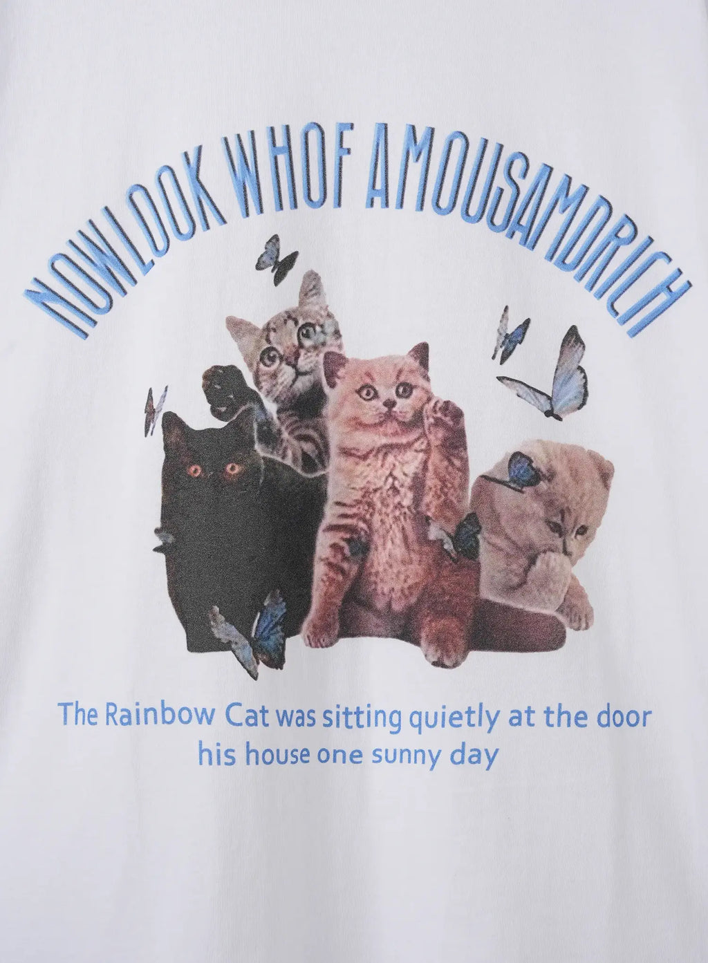 Kitty Graphic Tee IU526