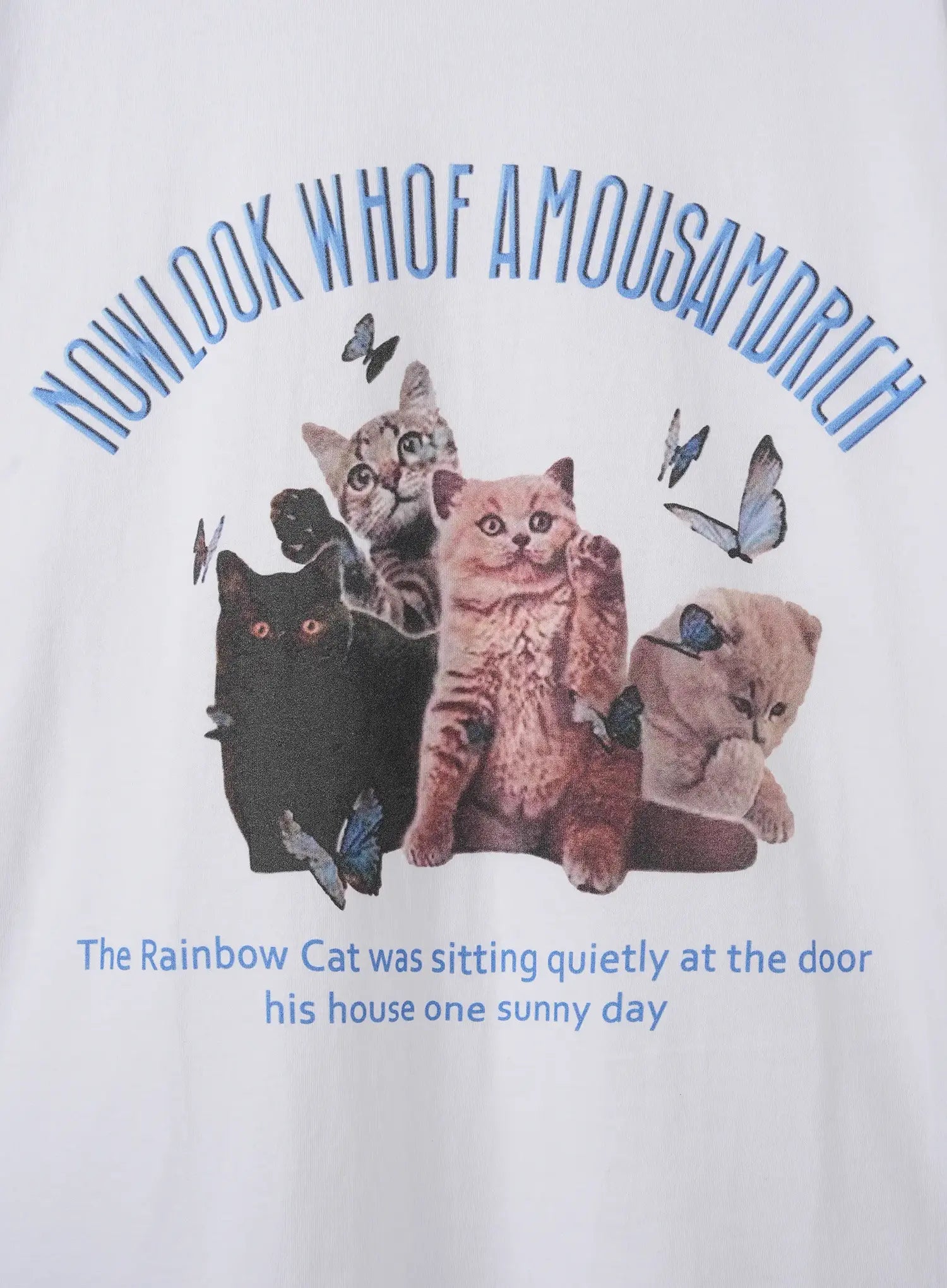 Kitty Graphic Tee IU526