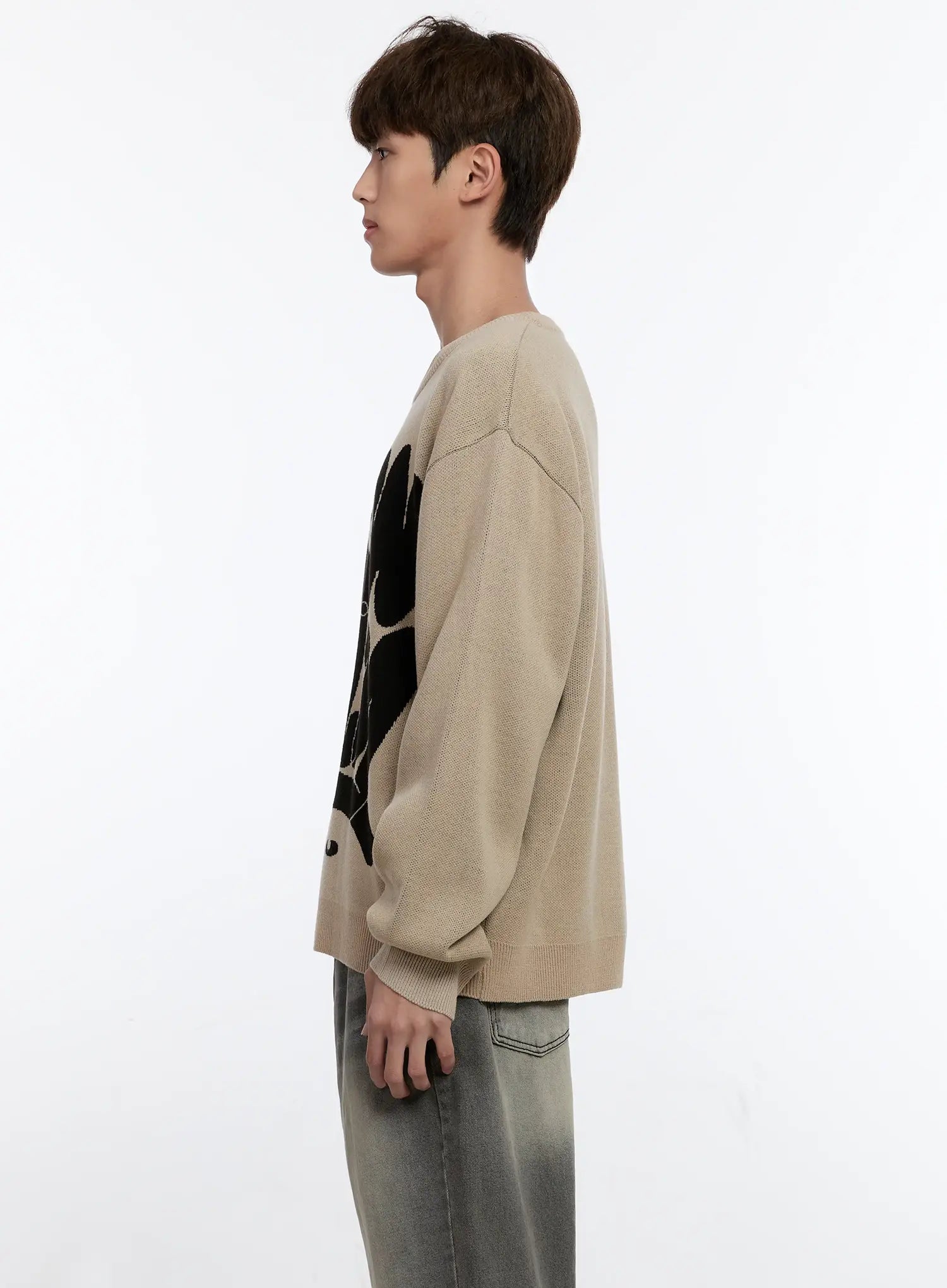 Men's Casual Knit Crewneck Sweater IS530