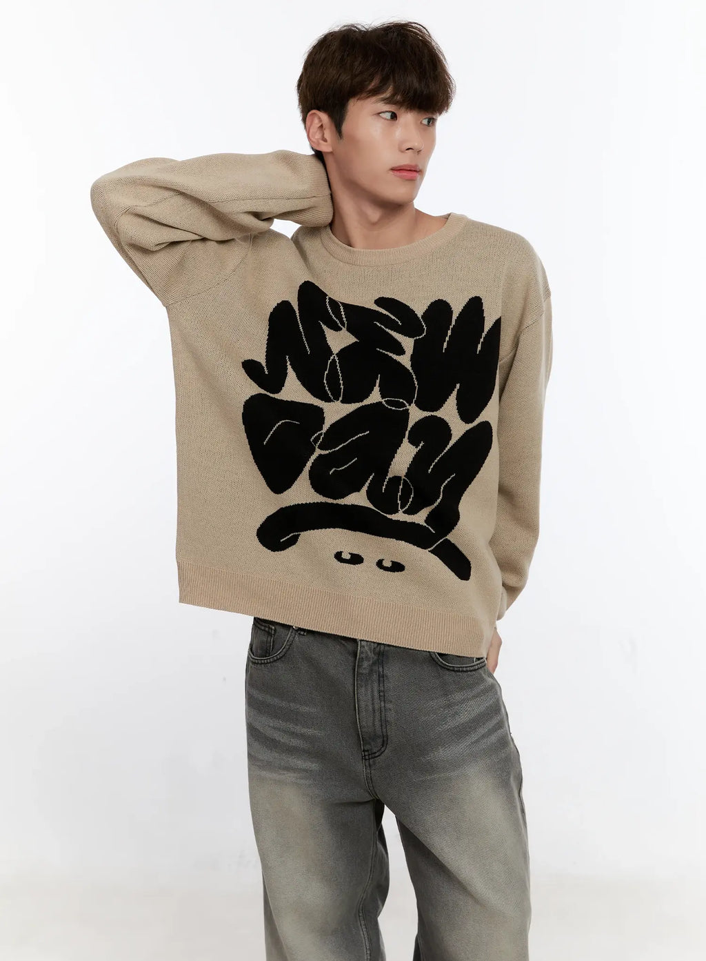 Men's Casual Knit Crewneck Sweater IS530