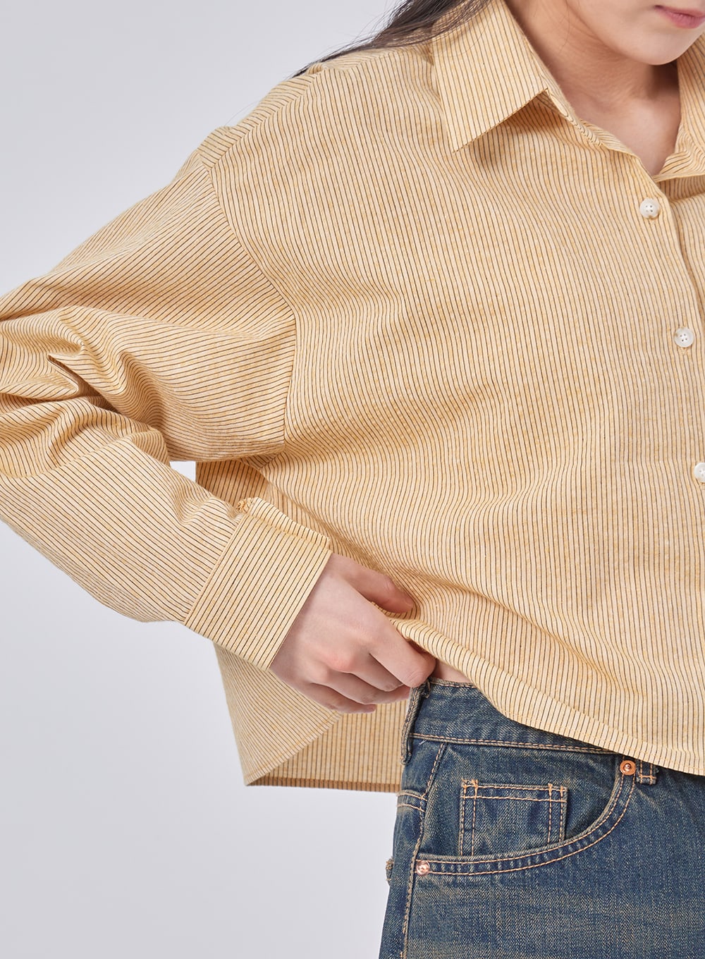 Pinstripe Cropped Shirt IF324