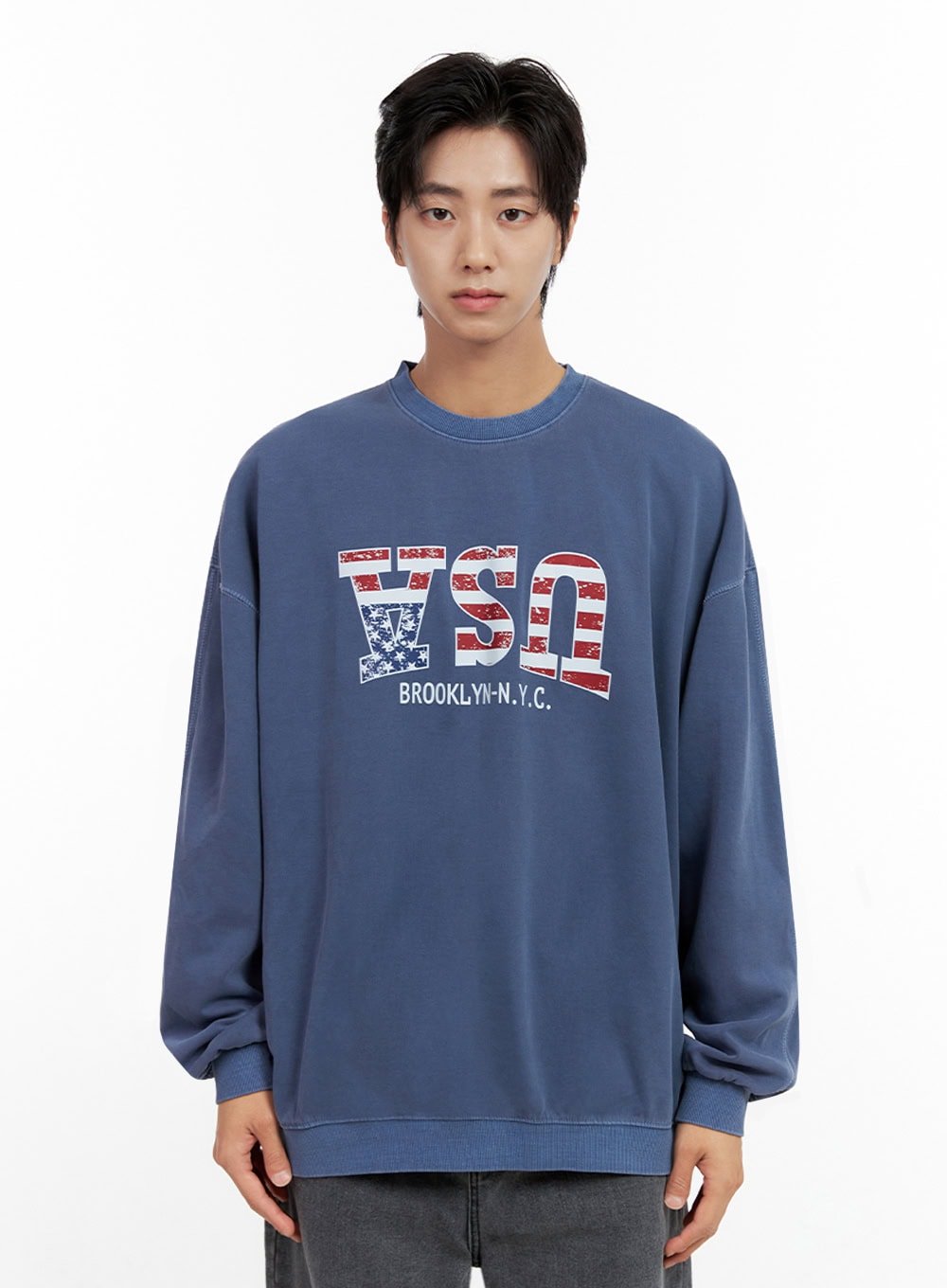 Men's Washed Graphic Sweatshirt IN401