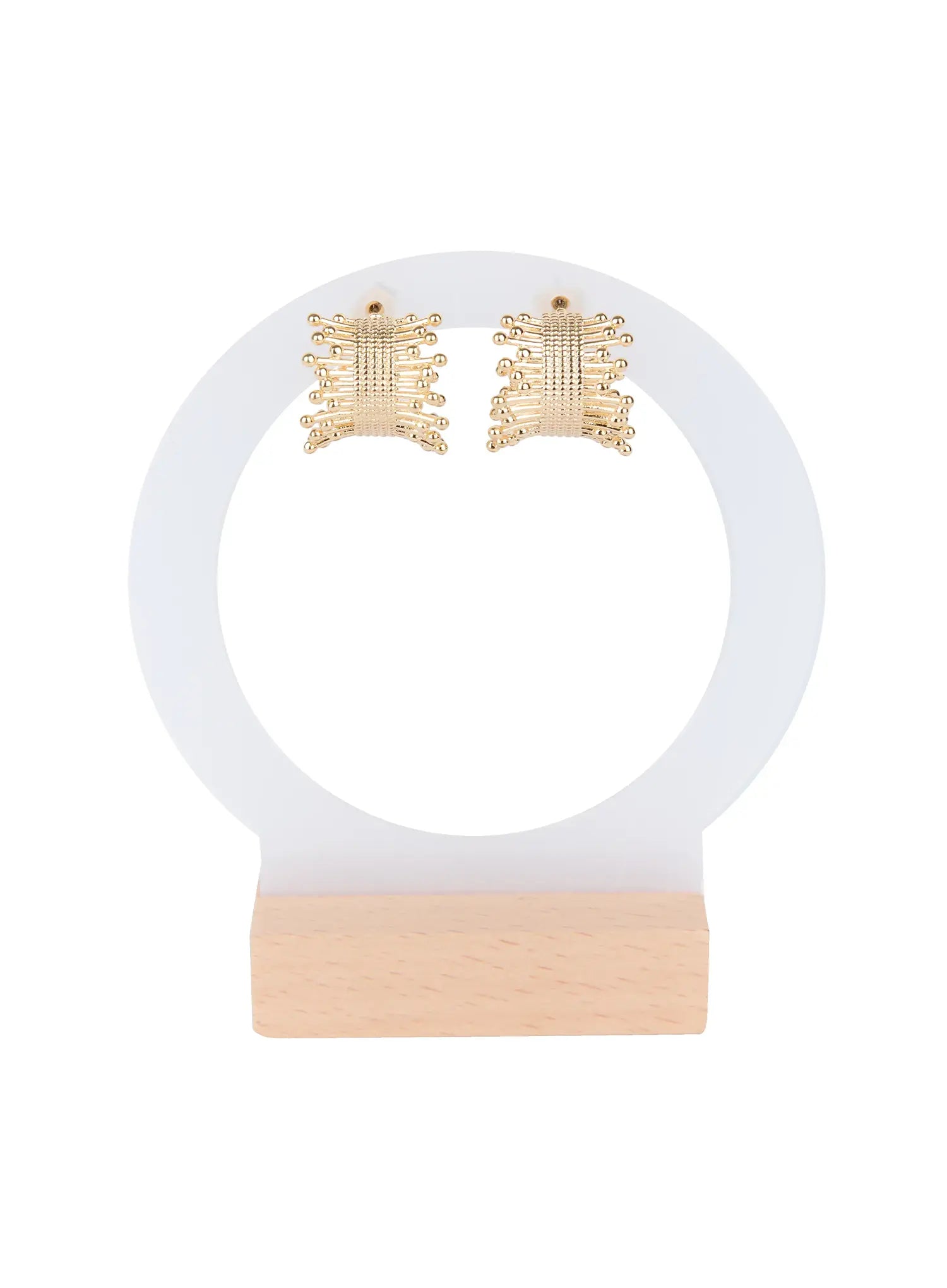 Modern Chic Statement Earrings IS515