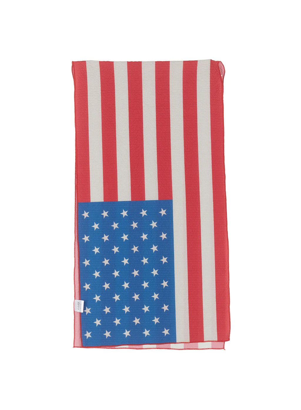 Graphic Chiffon Scarf IU509