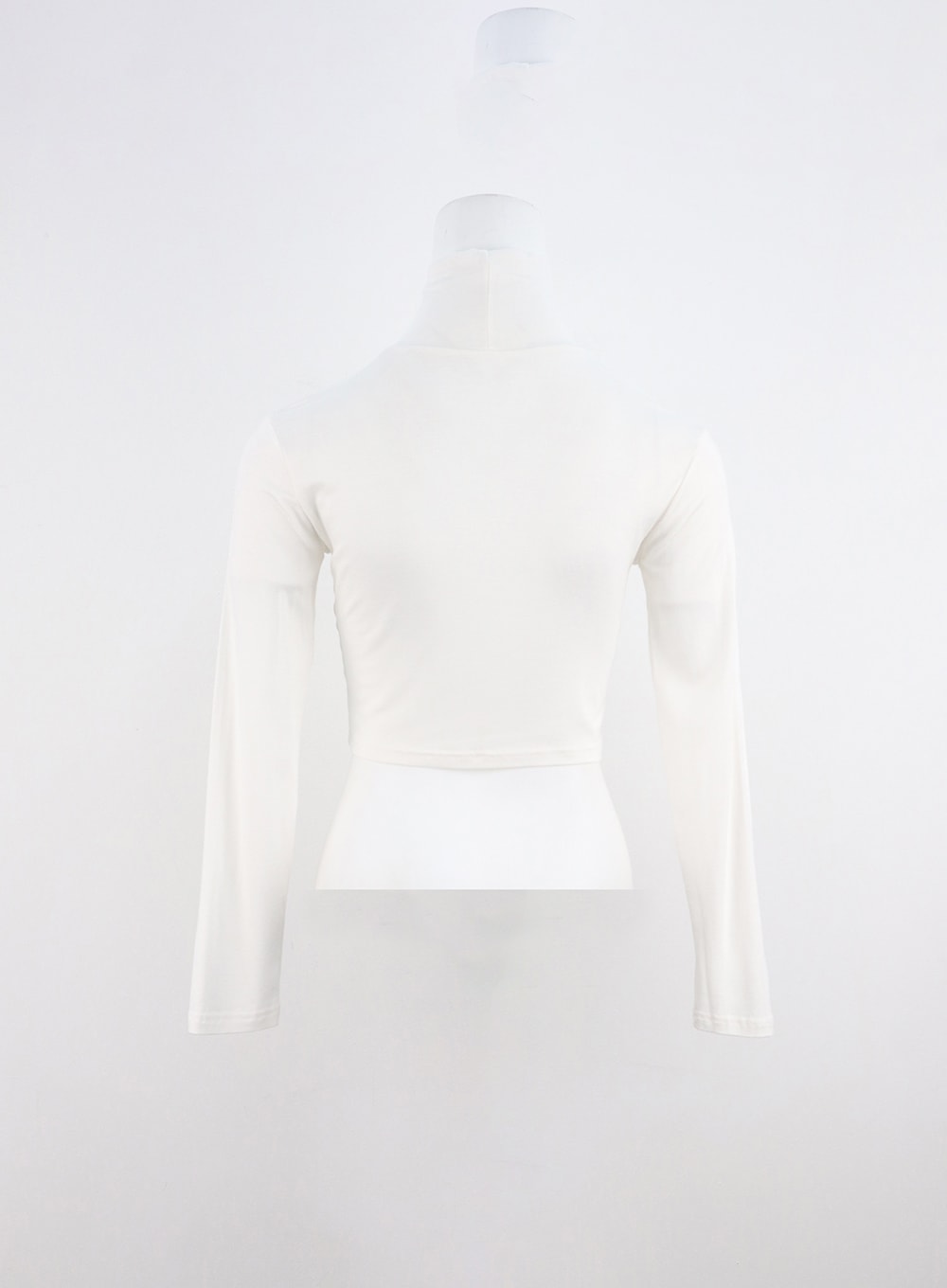 Solid Long Sleeve Turtleneck Crop IO320