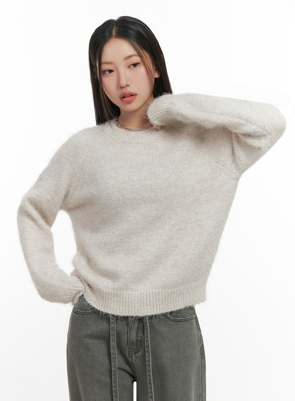 Solid Round Neck Knit Top IN415