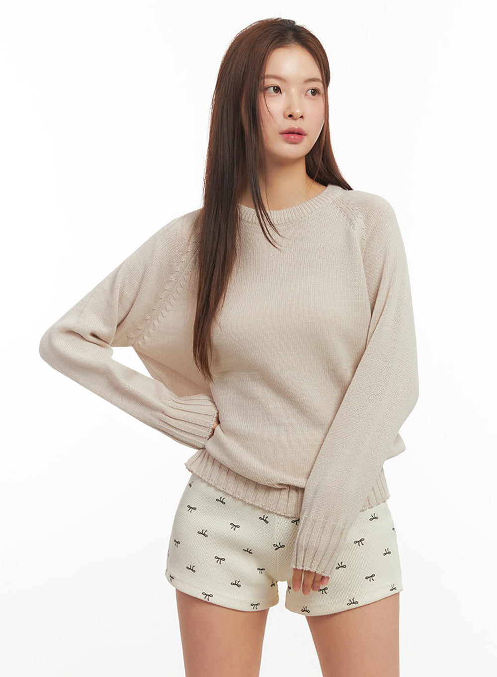 Basic Round Neck Sweater IM513