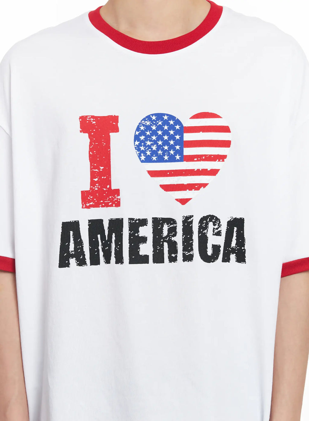 Men's USA Graphic Tee IL501
