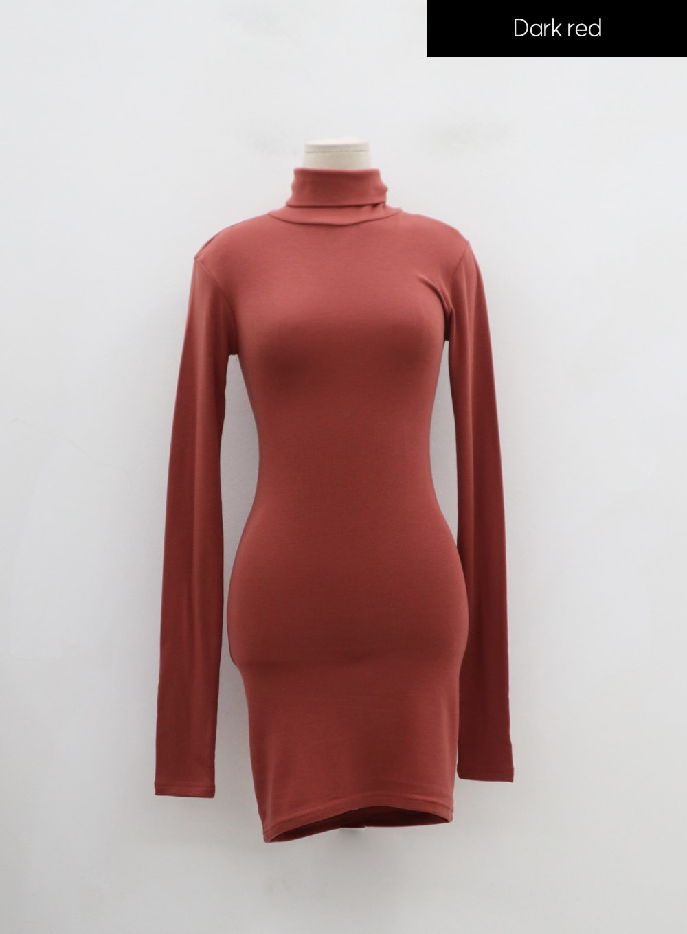 Turtleneck Mini Dress IN24