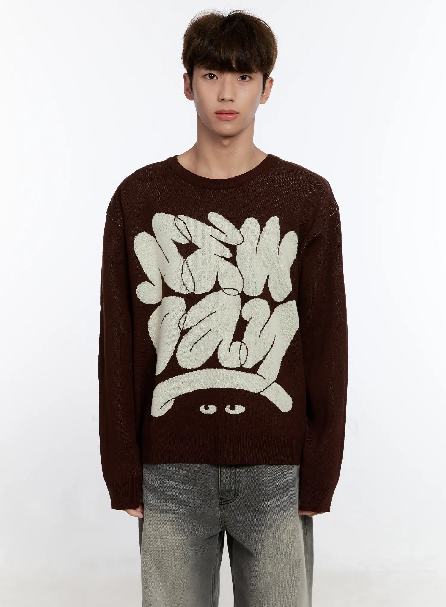 Men's Casual Knit Crewneck Sweater IS530
