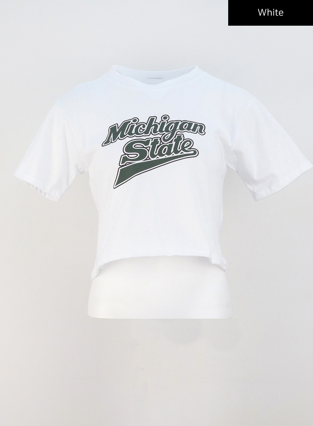Michigan Graphic Tee CU308