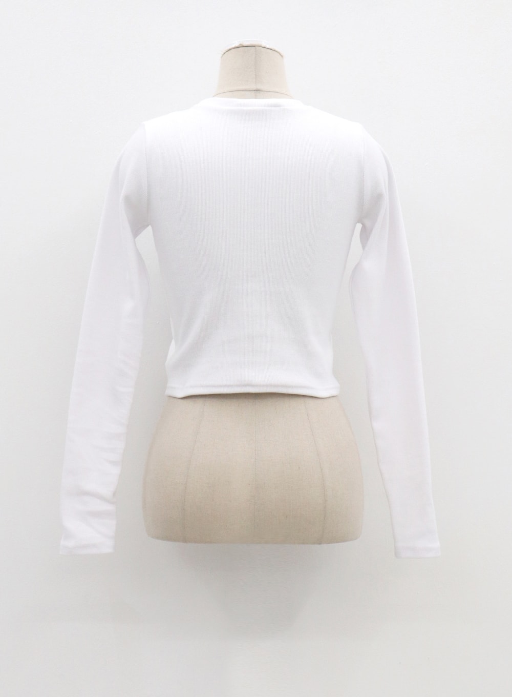 Long Sleeve Cropped Top CM324