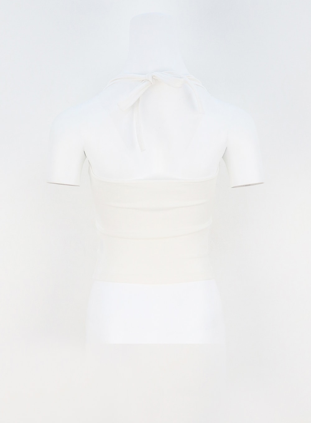 Halter Neck Cropped Top CA328