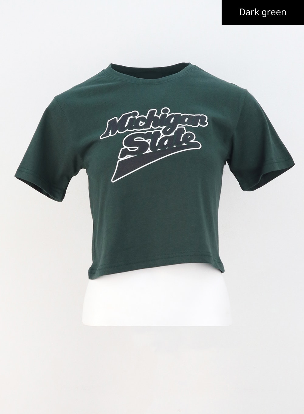 Michigan Graphic Tee CU308