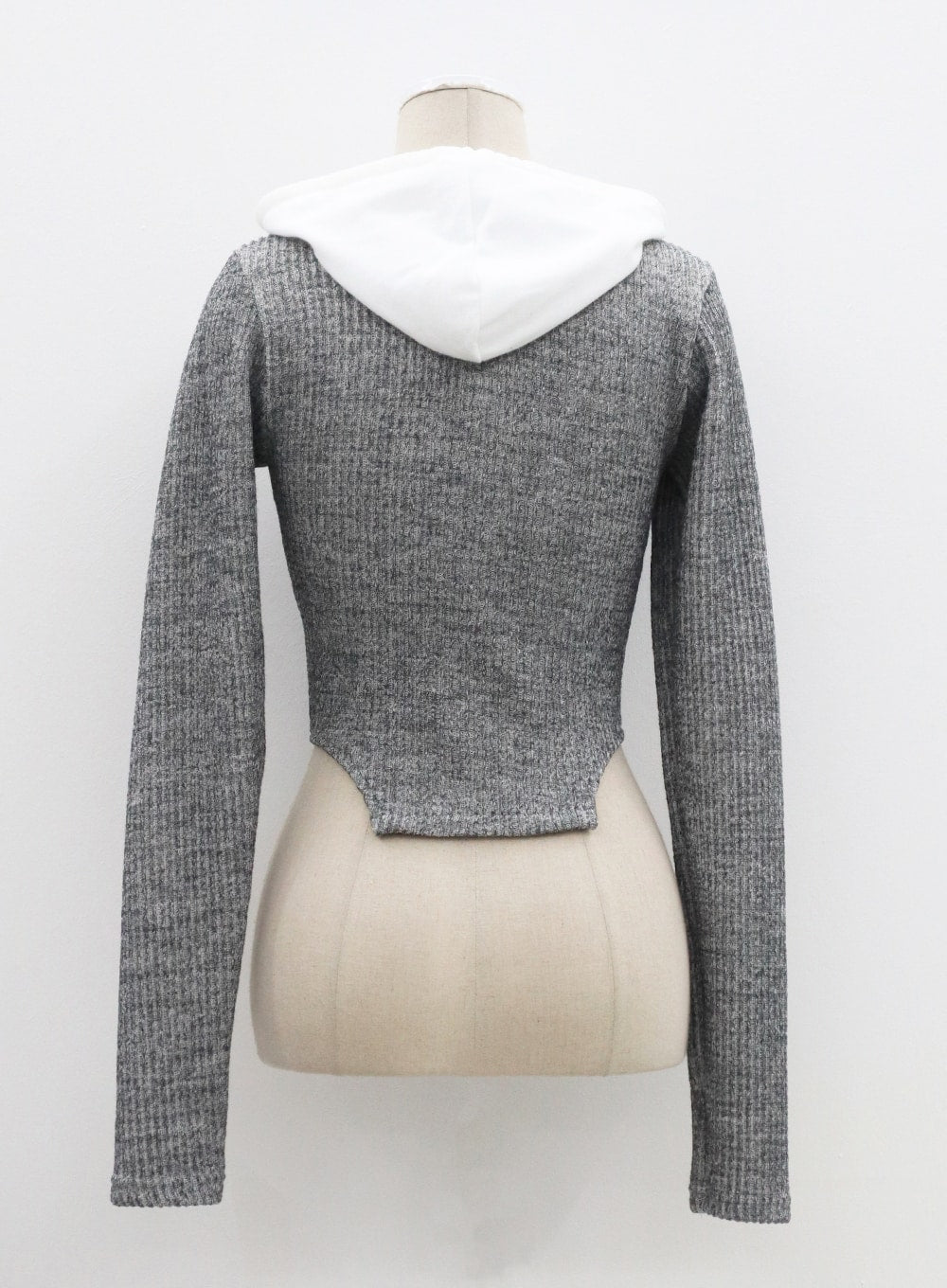 Two Color Zip-Up Hoodie CM302