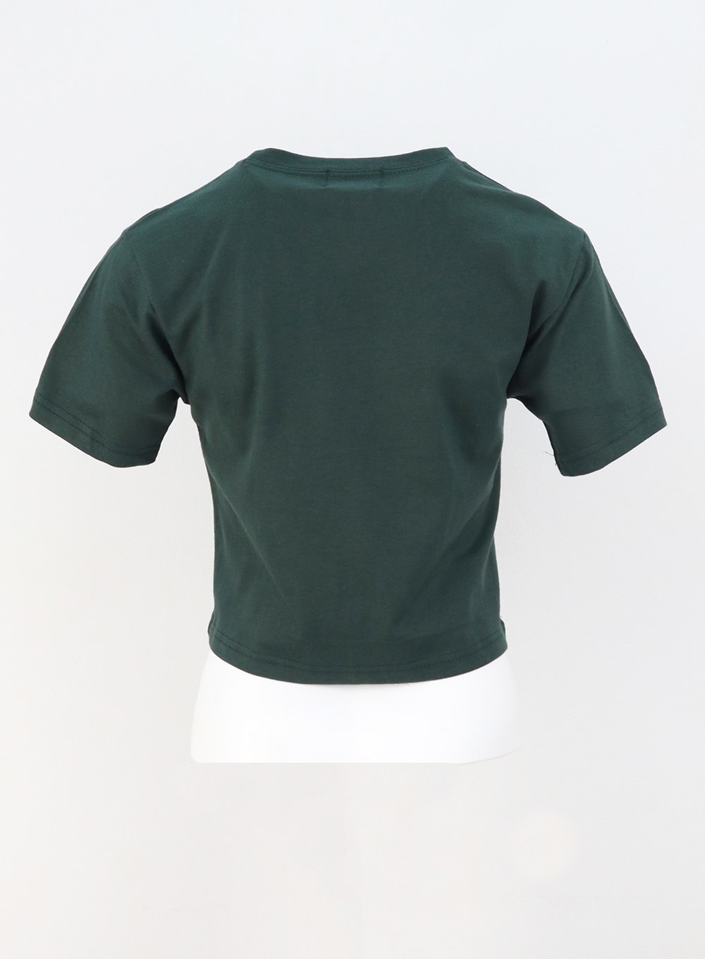 Michigan Graphic Tee CU308