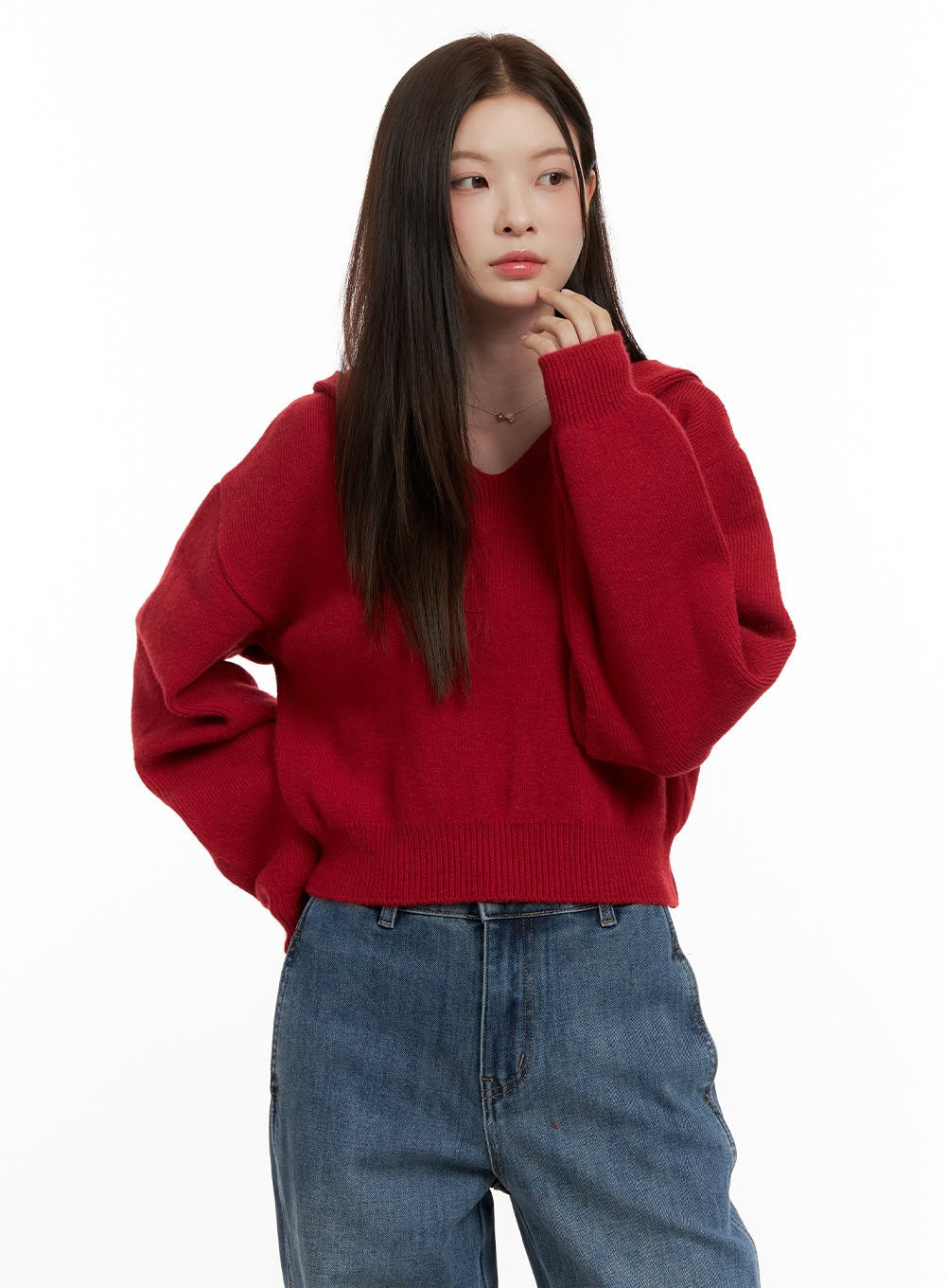 Cozy Hooded Knit Sweater ON422