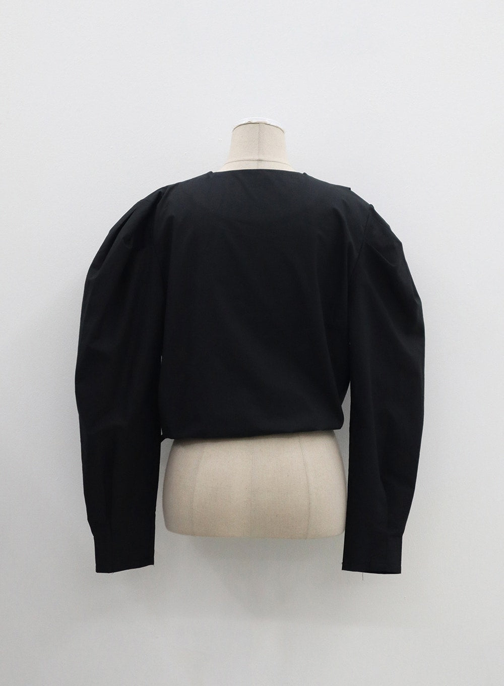 V-Neck Cropped Blouse OM303