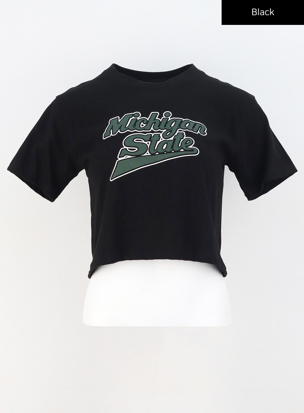 Michigan Graphic Tee CU308