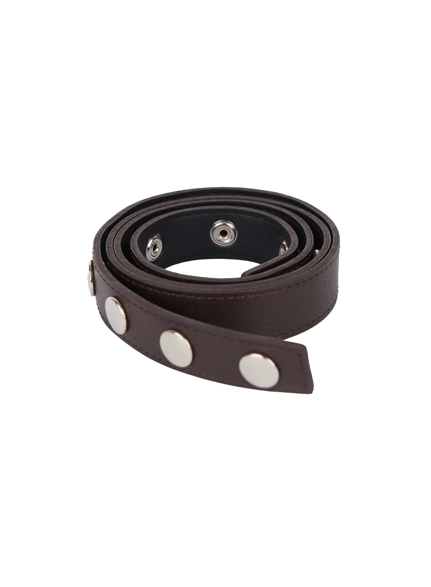 Single-Stud Belt CL528