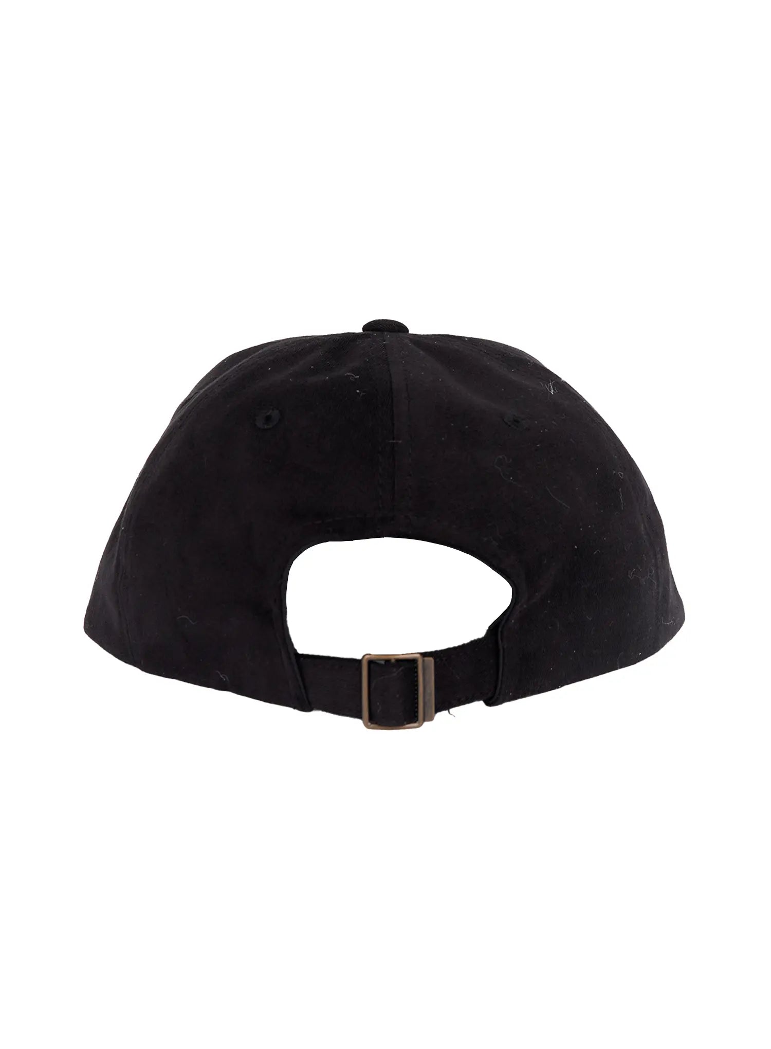 Embroidered Flat Cap CO513