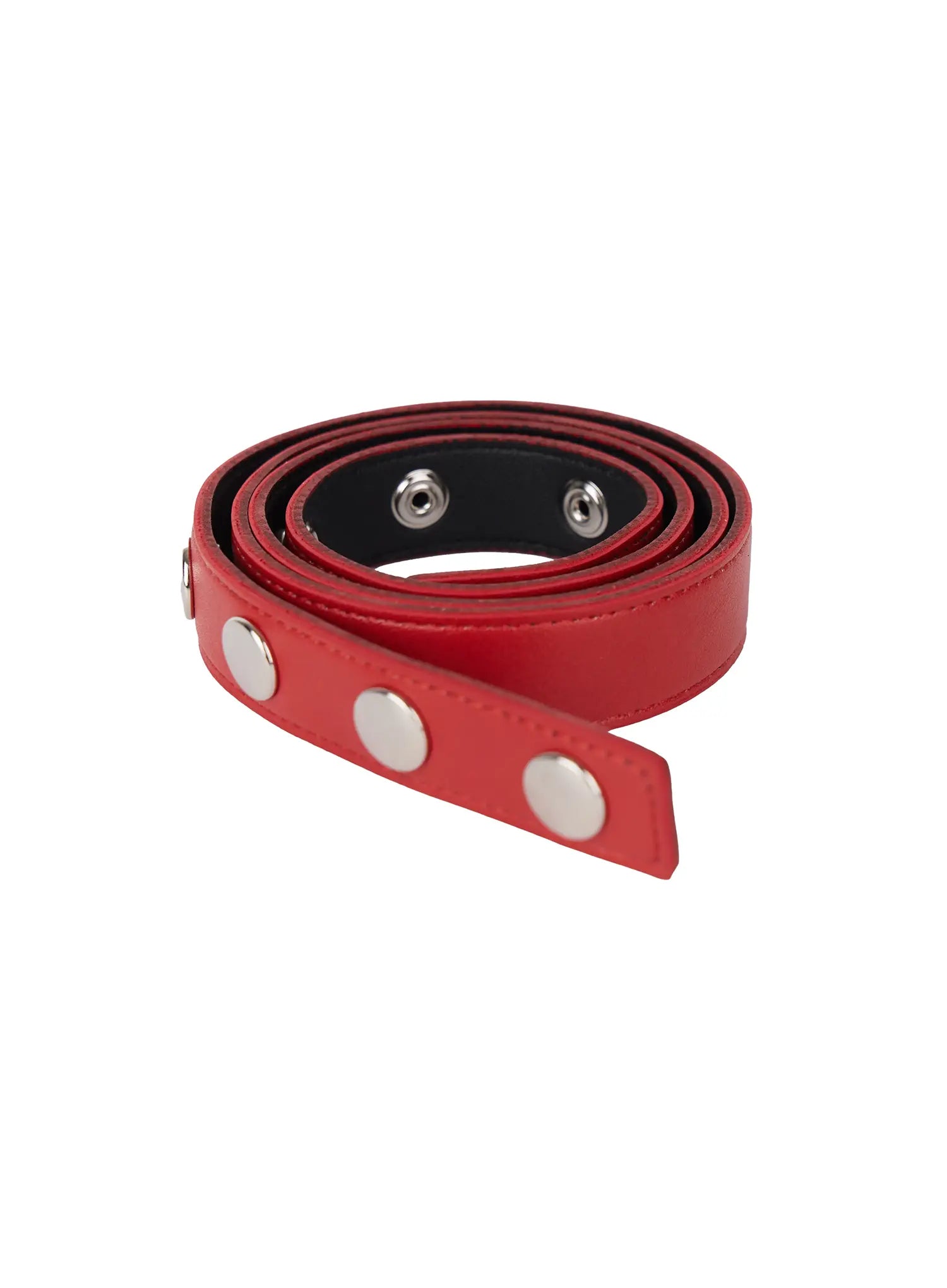 Single-Stud Belt CL528