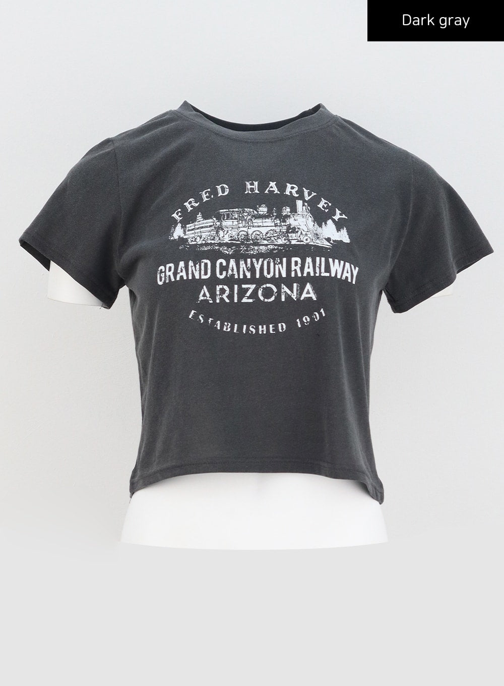 Wide Graphic Tee BU302